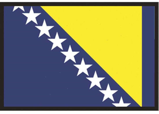 Slika Zastava Bosne i Hercegovine